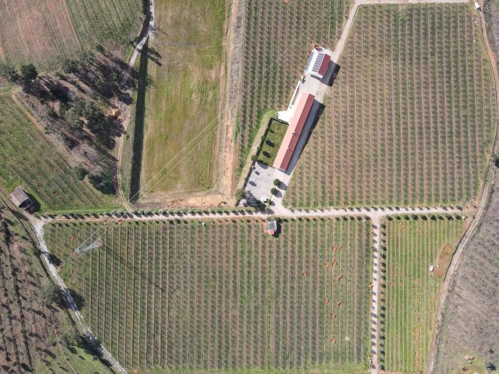 Quinta Lourena - Casa Do Caseiro โกวิลา ภายนอก รูปภาพ